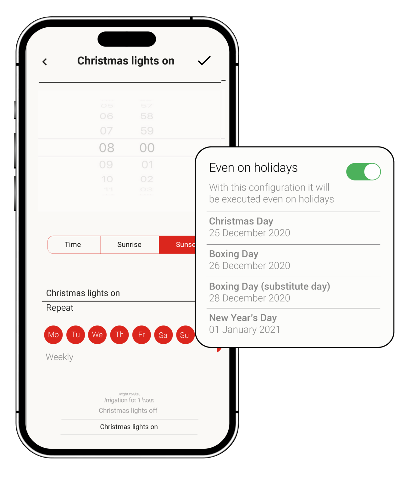 programmatore_en-1291x1536